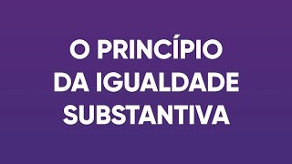 CEDAW Rápida e Concisa O Princípio da Igualdade Substantiva [upl. by Gnes]