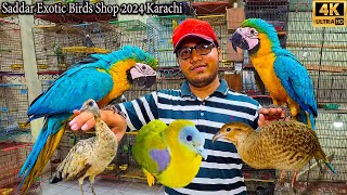 Saddar Amazing Birds and Parrots Market Karachi 2024  Macaw Parrots and Other Rare and Ground Birds [upl. by Wilie]