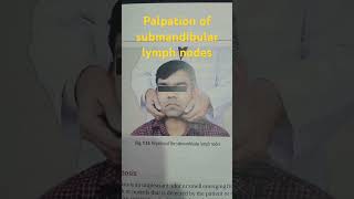 palpation of submandibular lymph nodes [upl. by Stern]