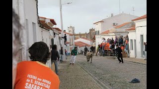 touro na rua safara 2013 [upl. by Daukas886]