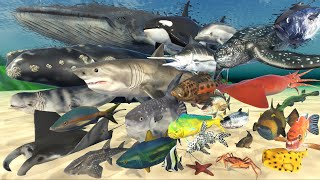 Sea Animals SPEED COMPARISON in 3D Animation  Realistic World Data [upl. by Aihtebat]