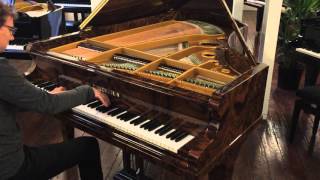 Chopin fantaisie op49  Bechstein grand piano [upl. by Tace616]