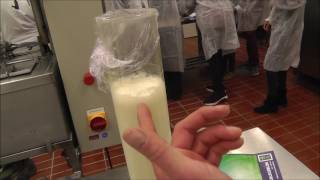 homogenization of milk [upl. by Darn]