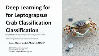 You Wont Believe How AI Can Now Identify Crab Species with 97 Accuracy [upl. by Iniffit405]