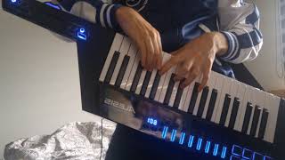 Overdrive Keytar Solo Lazerhawk Cover [upl. by Tehc865]