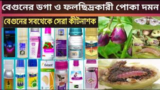 বেগুনের ডগা ও ফলছিদ্রকারী পোকা দমনBrinjal shoot and fruit borer control [upl. by Darrej]