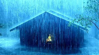 🔴 Heavy Rain on a Tin Roof for Sleeping 247 Sleep Instantly with Rain Sounds amp Thunder at Nigh [upl. by Minoru]