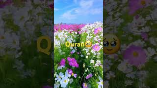 Surah taubah ayat 79quran translation in urdu shorts ytshorts [upl. by Charyl]