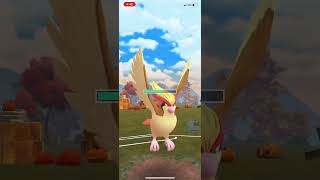 Pokémon Go PvP Great League Remix Unique Spicy Triple Flying Team Skarmory Pidgeot Staraptor Walrein [upl. by Adnalor646]