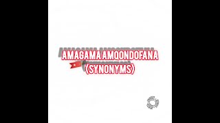 Amagama Amqondofana Synonyms [upl. by Yelknirb]