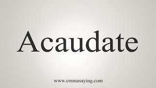 How To Say Acaudate [upl. by Iror]