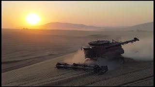 Palouse Harvest 2024 [upl. by Yerd]