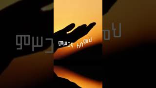 ምሥጋና ለስምህ ይሁንKalkidan Tilahun ቃልኪዳን ጥላሁን ሊሊ  Amharic Lyrics mezmur protestantmezmur [upl. by Llerroj]