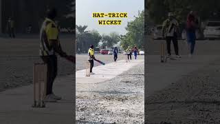 HATTRICK WICKET cricket shorts trendingshorts icc cricketlover ipl viralshortssportsmsd [upl. by Laehpar]