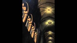 Organ recital  Notre Dame Paris [upl. by Kabab]