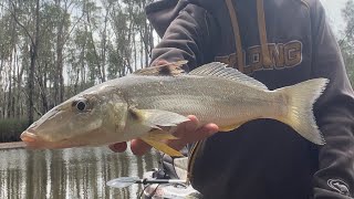 Fishing lake Cathie and Murrumbidgee River ￼ [upl. by Eeresed396]