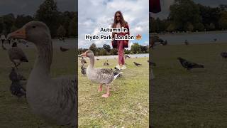 Autumn vibes in Hyde Park London 🍂🍁 travelvlog traveldestinations londonlife hydepark travel [upl. by Naitirb]