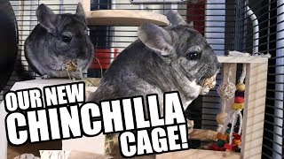 Our New Chinchilla Cage [upl. by Danella719]