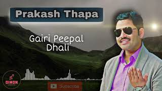 Gairi peepal Dhali  Prakash Thapa  Radhika Hamal  Deuda Song [upl. by Drummond]