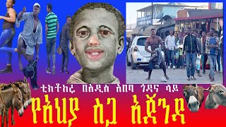 🔴 የሳምንቱ አነጋጋሪ ቪዲዮ አዲስ አበባ የገባው ቲክቶከር Very Funny Videos [upl. by Ellah]