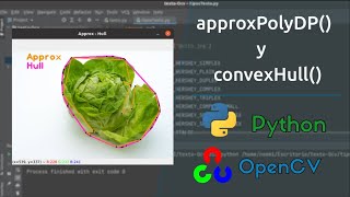 Aproximación de contornos con openCV y Python  ConvexHull y approxPolyDP [upl. by Esinel489]