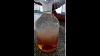 Dissolved Oxygen By Winklers Method  2016 [upl. by Bred894]