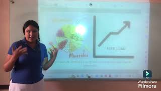 DISERTACIÓN DEL TEMA NUTRICIÓN Y FERTILIDAD [upl. by Nanda]