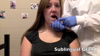 How to Palpate the Salivary Glands [upl. by Plunkett]