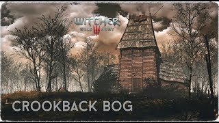 Witcher 3 Crookback Bog  1 Hour version  Haunting Music   HD [upl. by Kreager723]