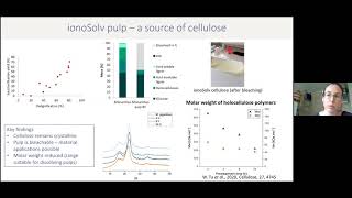 New lowcost lignins produced by Lixea’s ionic liquid wood fractionation proces [upl. by Gillespie]