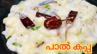 പാൽ കപ്പtrending paal kappapaal kappa recipe malayalam [upl. by Rudie]