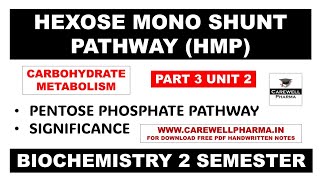 HMP Shunt Pathway  Part 3 Unit 2  biochemistry b pharm 2nd semester  Carewell Pharma [upl. by Fortunia]