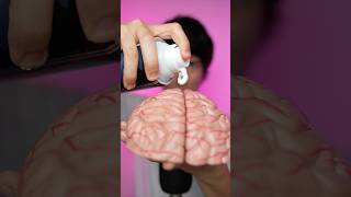 scrubbing your 🧠 asmr [upl. by Tugman]