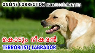 😈👹കൊടും ഭീകരനായ LABRADOR  Resource Guarding  Heavy food aggression  ONLINE CORRECTION EP 12 [upl. by Novahc]