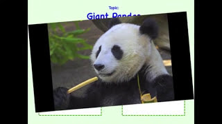 Integrating Information from Multiple Texts  4th Grade Reading  eSpark Instructional Video [upl. by Tavi961]