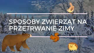 Sposoby zwierząt na przetrwanie zimy [upl. by Ocinom]