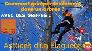 💪COMMENT GRIMPER🌲 FACILEMENT DANS UN ARBRE À LAIDE DE GRIFFESCONSEILS ET ASTUCES DUN ÉLAGUEUR [upl. by Gemoets]