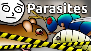 Why You Should Be Afraid of Mind Controlling Parasites [upl. by Eilis752]