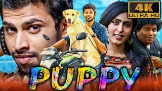 Puppy 4K  South Superhit Comedy Drama Film  Varun Samyuktha Hegde Yogi Babu [upl. by Randa]