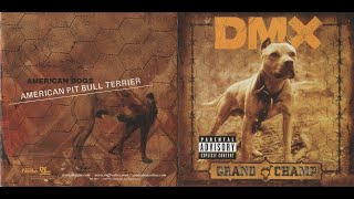 DMX featuring Big Stan  On Top Lyrics [upl. by Lobiv544]