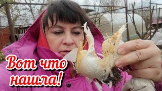 Я совсем забыла Но нашла Готовлю картофельную запеканку с мясом Жизнь семьи в деревне [upl. by Aicirtak]