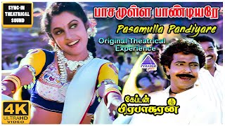 Pasamulla Pandiyare 4K HD Video Song  Captain Prabhakaran Movie Songs  Vijayakanth  Ilaiyaraaja [upl. by Kcerred]