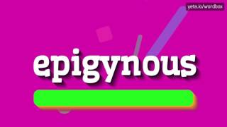 EPIGYNOUS  HOW TO PRONOUNCE IT [upl. by Adnih]