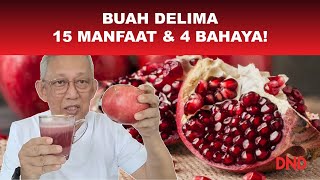 Buah Delima 15 Manfaat dan 4 bahaya yang anda wajib tahu [upl. by Gardal]