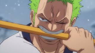 zoro vs kill 1080p  Onepiece  onepiece luffy zoro [upl. by Diad]