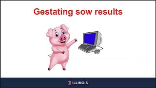 Digestibility of energy by gestating and lactating sows and concentrations of De and ME [upl. by Guinna354]