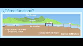 ¿Cómo funcionan las Esclusas del Canal de Panamá [upl. by Sirapal]