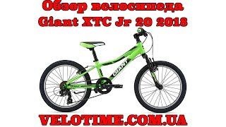 Обзор велосипеда Giant XTC Jr 20 2018 [upl. by Aicirtam461]