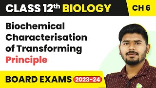 Biochemical Characterisation of Transforming Principle  Molecular Basis of Inheritance  Class 12 [upl. by Amian]