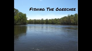 Fishing The Ogeechee RIVER [upl. by Haduhey]